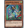 yu-gi-oh-tcg-sgx3-frh11-c-cavalier-du-vortex