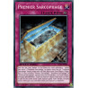 yu-gi-oh-tcg-sgx3-fri06-c-premier-sarcophage