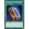 yu-gi-oh-tcg-sgx3-fri07-c-deuxieme-sarcophage
