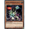 yu-gi-oh-tcg-sgx3-fri15-c-maitre-legendaire-du-jiu-jitsu