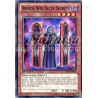 yu-gi-oh-tcg-shsp-fr008-c-druide-wid-secte-secrete