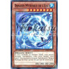 yu-gi-oh-tcg-shsp-fr011-c-dragon-mythique-de-l-eau