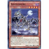 yu-gi-oh-tcg-shsp-fr037-c-squelesaure