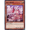 yu-gi-oh-tcg-shvi-fr037-c-ryu-okami