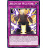yu-gi-oh-tcg-shvi-fr077-c-ascension-maximum