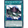 yu-gi-oh-tcg-shvi-fr092-c-le-du-roi-du-feu