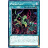 yu-gi-oh-tcg-sofu-en097-c-predaplast