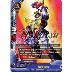 BFE D-BT02A/0026EN C Card Burn