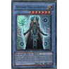 yu-gi-oh-tcg-sovr-fr039-ur-northwenko-deesse-de-la-redemption