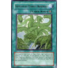 yu-gi-oh-tcg-sovr-fr060-r-invasion-des-plantes-infernales