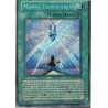 yu-gi-oh-tcg-sovr-fr099-se-monde-transparent