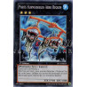 yu-gi-oh-tcg-sp13-fr024-c-porte-submersibles-aero-requin