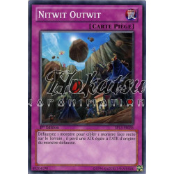 yu-gi-oh-tcg-sp13-fr038-c-nitwit-outwit