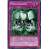 yu-gi-oh-tcg-sp13-fr042-c-metalmorphe