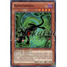 yu-gi-oh-tcg-st-sp13-fr009-st-kagetokage