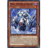 yu-gi-oh-tcg-st-sp13-fr047-st-wisel-empereur-meklord