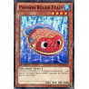yu-gi-oh-tcg-st-sp14-fr017-st-poisson-rouge-tain