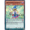 yu-gi-oh-tcg-sp15-fr027-c-sorciecarte-potartiste