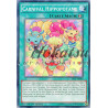 yu-gi-oh-tcg-sp15-fr040-c-carnival-hippopotame