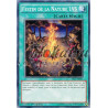 yu-gi-oh-tcg-sp15-fr041-c-festin-de-la-nature-lv5