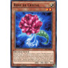 yu-gi-oh-tcg-sp17-fr021-c-rose-de-cristal
