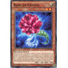 yu-gi-oh-tcg-sh-sp17-fr021-c-rose-de-cristal