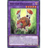 yu-gi-oh-tcg-sh-sp17-fr038-c-mouton-frourreur