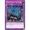 yu-gi-oh-tcg-spwa-en028-se-magical-musket-last-stand