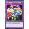 yu-gi-oh-tcg-spwa-en055-sr-musakani-magatama