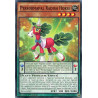 yu-gi-oh-tcg-tdil-en007-c-performapal-radish-horse