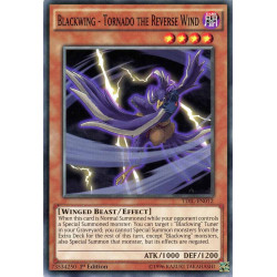 yu-gi-oh-tcg-tdil-en012-c-blackwing-tornado-the-reverse-wind