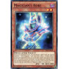 yu-gi-oh-tcg-tdil-en018-c-magician-s-robe