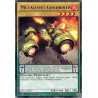 yu-gi-oh-tcg-tdil-en023-r-metalfoes-goldriver