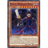 yu-gi-oh-tcg-tdil-en036-c-black-dragon-ninja