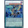 yu-gi-oh-tcg-tdil-en046-se-nirvana-high-paladin