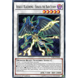yu-gi-oh-tcg-tdil-en048-c-assault-blackwing-sohaya-the-rain-storm