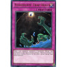 yu-gi-oh-tcg-tdil-en076-ur-floodgate-trap-hole