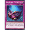 yu-gi-oh-tcg-tdil-en095-c-paleozoic-olenoides
