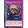 yu-gi-oh-tcg-tdil-en098-c-paleozoic-pikaia