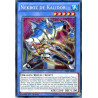 yu-gi-oh-tcg-thsf-fr018-se-nekroz-de-kalidor