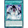 yu-gi-oh-tcg-thsf-fr021-se-kaleidoscope-nekroz