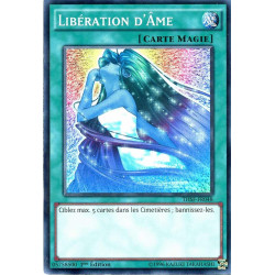 yu-gi-oh-tcg-thsf-fr048-sr-liberation-d-me
