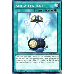yu-gi-oh-tcg-thsf-fr054-sr-me-ascendante