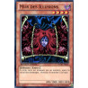 yu-gi-oh-tcg-wgrt-fr002-sr-mur-des-illusions