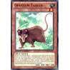 yu-gi-oh-tcg-wgrt-fr033-c-opossum-taquin