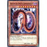 yu-gi-oh-tcg-wgrt-fr064-c-dragon-des-limites-schwarzschild