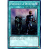 yu-gi-oh-tcg-wgrt-fr066-sr-partagez-la-douleur