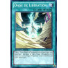 yu-gi-oh-tcg-wgrt-fr077-sr-onde-de-liberation