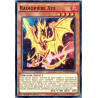 yu-gi-oh-tcg-wsup-fr046-sr-radiopiere-xyz