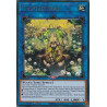 yu-gi-oh-tcg-mama-en074-ur-traptrix-sera